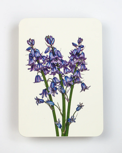 Canonbury Press Bluebells Greeting Card