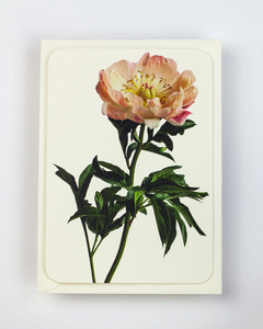 Canonbury Press Peony Greeting Card