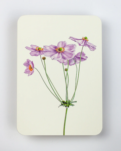 Canonbury Press Anemone Greeting card