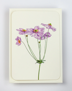 Canonbury Press Anemone Greeting card