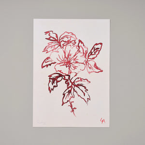 Atelier Augé Wild Rose Art Print A4